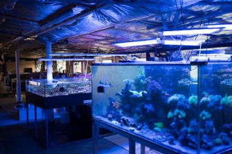 Soutien à l’économie durable : un élevage de crevettes installé dans une ancienne étable