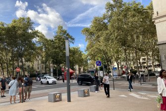 Von Bäumen gesäumter Boulevard in Lyon