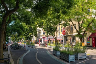 Eine von Bäumen gesäumte Fahrradstraße in einem Berliner Kiez
