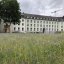 Bunte Blumenwiese, im Hintergrund steht eine Häuserreihe. Man sieht einige Bauzäune.