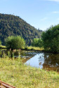 Natur in Lörrach