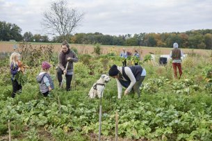 Gemeinschaftliche und nachhaltige Landwirtschaft 